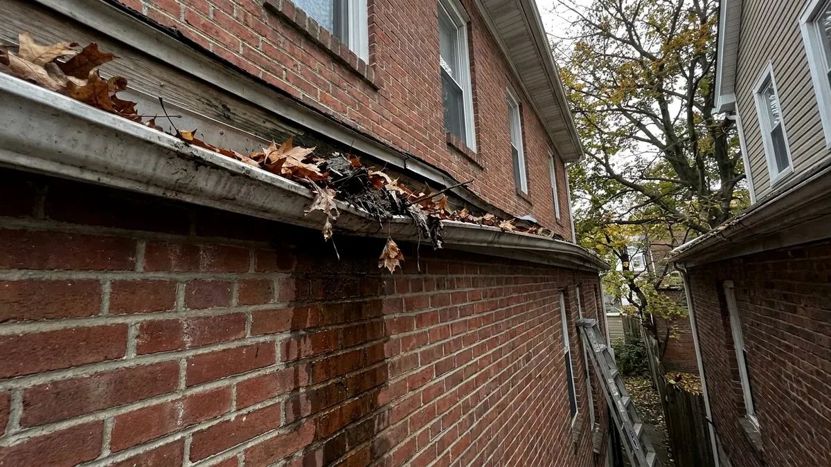 Gutter cleaning on a brick rowhouse in Elizabeth New Jersey Union County Elmora North End fall leaf debris overflow Miguel