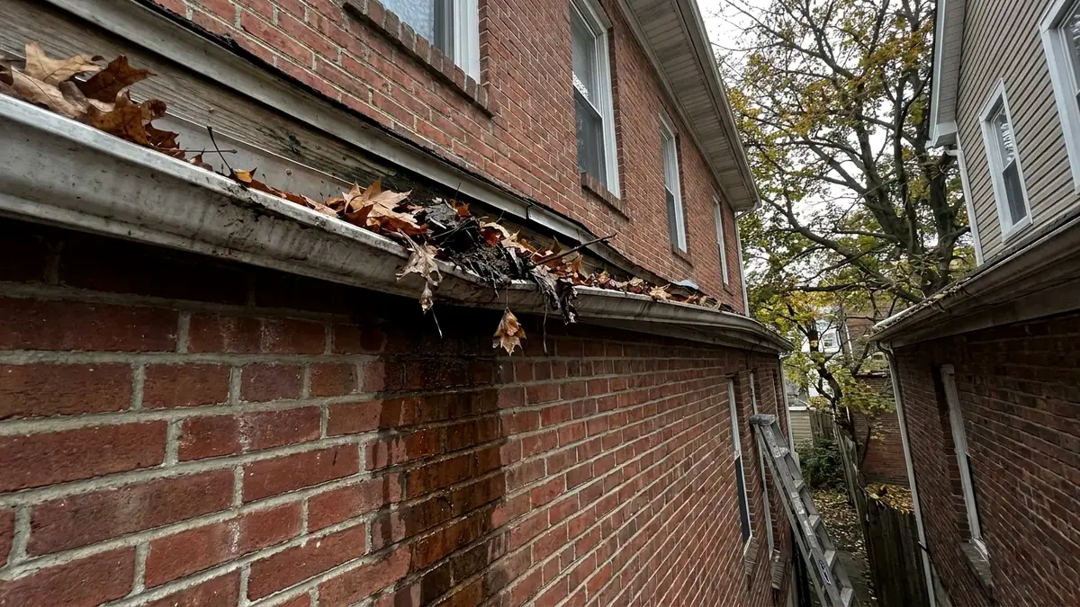 Clogged gutter on a rowhouse in Elizabeth New Jersey Union County Elmora Peterstown oak maple debris overflow brick staining